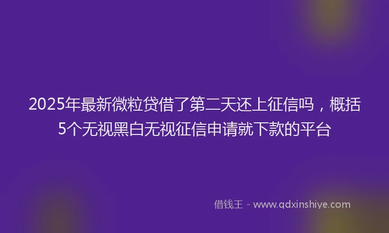 2025年最新微粒贷借了第二天还上征信吗，概括5个无视黑白无视征信申请就下款的平台