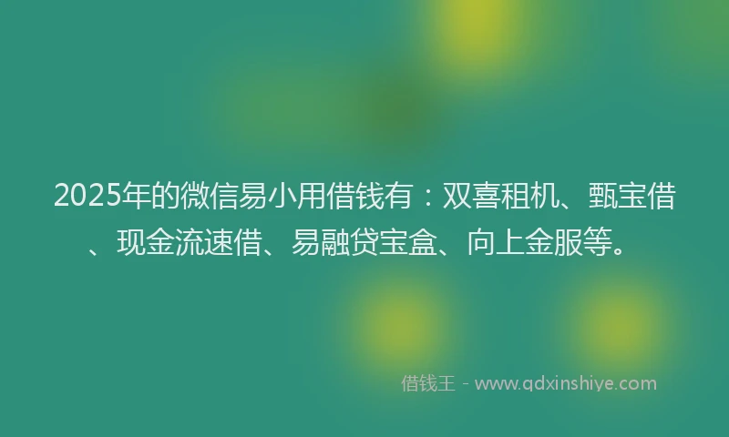 2025年的微信易小用借钱有：双喜租机、甄宝借、现金流速借、易融贷宝盒、向上金服等。