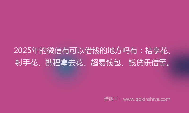 2025年的微信有可以借钱的地方吗有：桔享花、射手花、携程拿去花、超易钱包、钱贷乐借等。