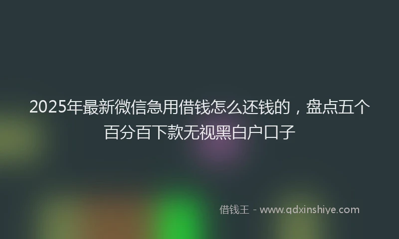 2025年最新微信急用借钱怎么还钱的，盘点五个百分百下款无视黑白户口子