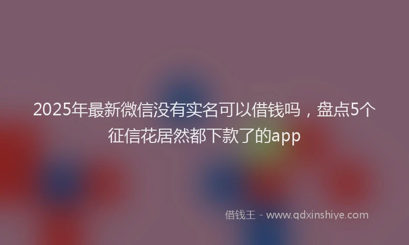 2025年最新微信没有实名可以借钱吗，盘点5个征信花居然都下款了的app