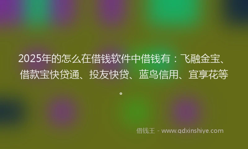 2025年的怎么在借钱软件中借钱有：飞融金宝、借款宝快贷通、投友快贷、蓝鸟信用、宜享花等。
