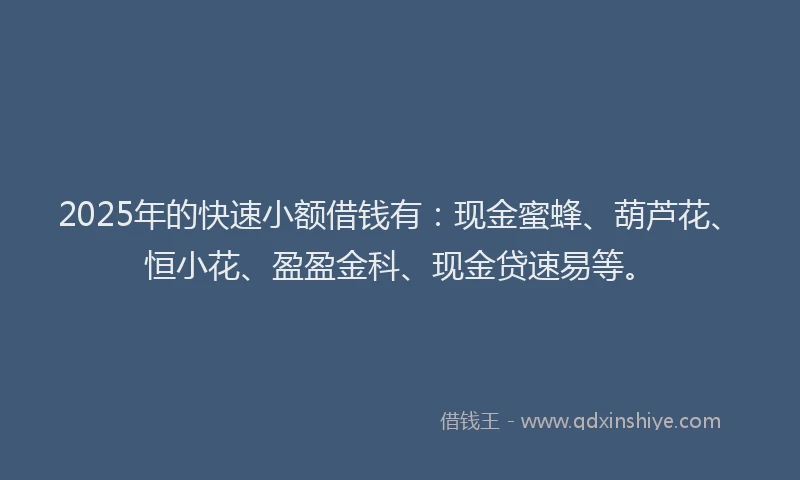 2025年的快速小额借钱有：现金蜜蜂、葫芦花、恒小花、盈盈金科、现金贷速易等。