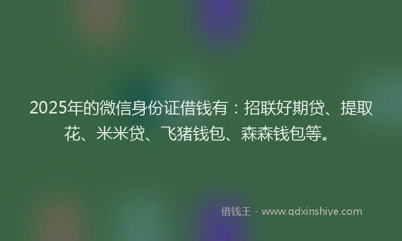2025年的微信身份证借钱有：招联好期贷、提取花、米米贷、飞猪钱包、森森钱包等。