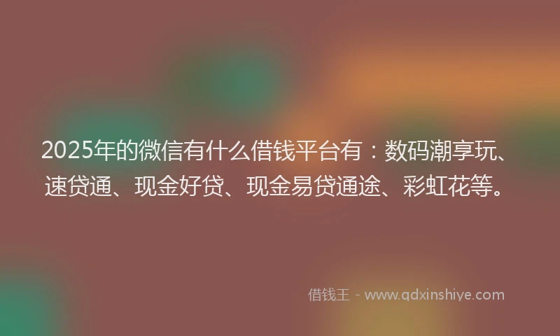2025年的微信有什么借钱平台有：数码潮享玩、速贷通、现金好贷、现金易贷通途、彩虹花等。
