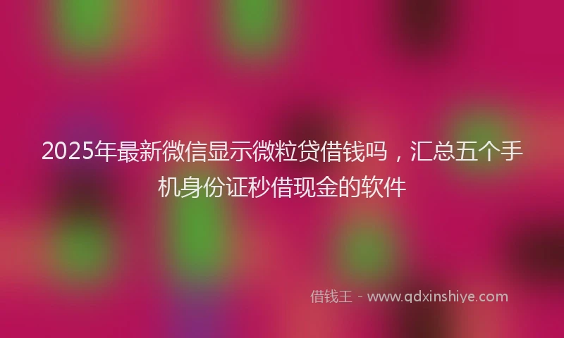 2025年最新微信显示微粒贷借钱吗，汇总五个手机身份证秒借现金的软件