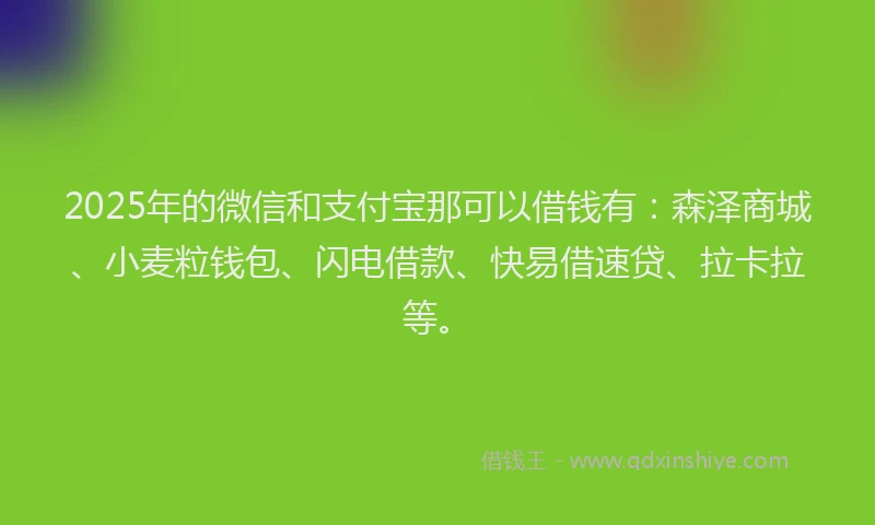 2025年的微信和支付宝那可以借钱有：森泽商城、小麦粒钱包、闪电借款、快易借速贷、拉卡拉等。