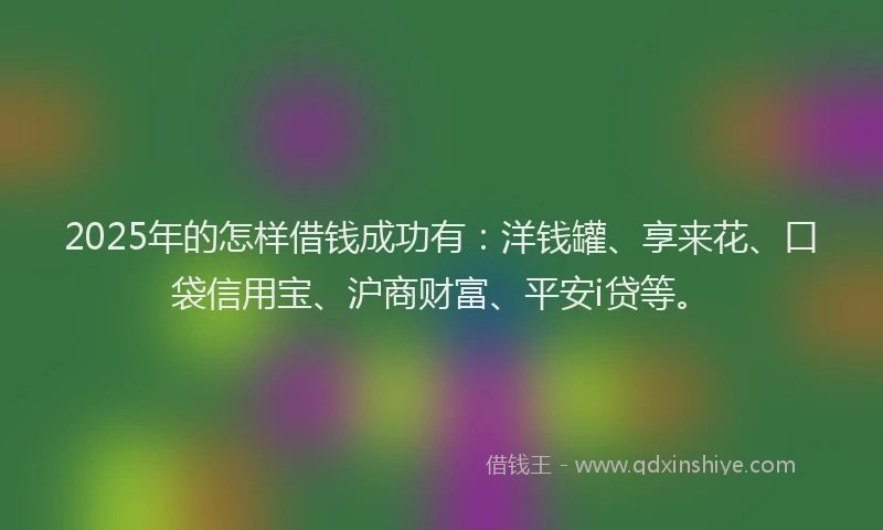 2025年的怎样借钱成功有：洋钱罐、享来花、口袋信用宝、沪商财富、平安i贷等。