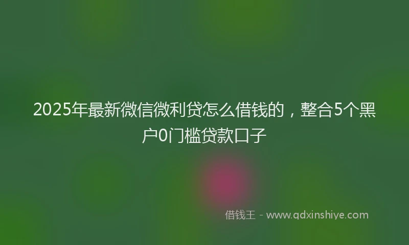 2025年最新微信微利贷怎么借钱的，整合5个黑户0门槛贷款口子