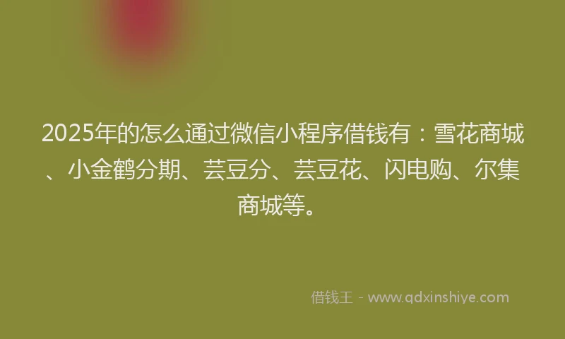 2025年的怎么通过微信小程序借钱有：雪花商城、小金鹤分期、芸豆分、芸豆花、闪电购、尔集商城等。