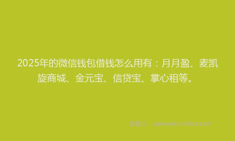 2025年的微信钱包借钱怎么用有：月月盈、麦凯旋商城、金元宝、信贷宝、掌心租等。