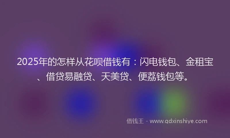 2025年的怎样从花呗借钱有：闪电钱包、金租宝、借贷易融贷、天美贷、便荔钱包等。