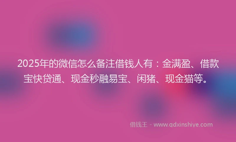 2025年的微信怎么备注借钱人有：金满盈、借款宝快贷通、现金秒融易宝、闲猪、现金猫等。