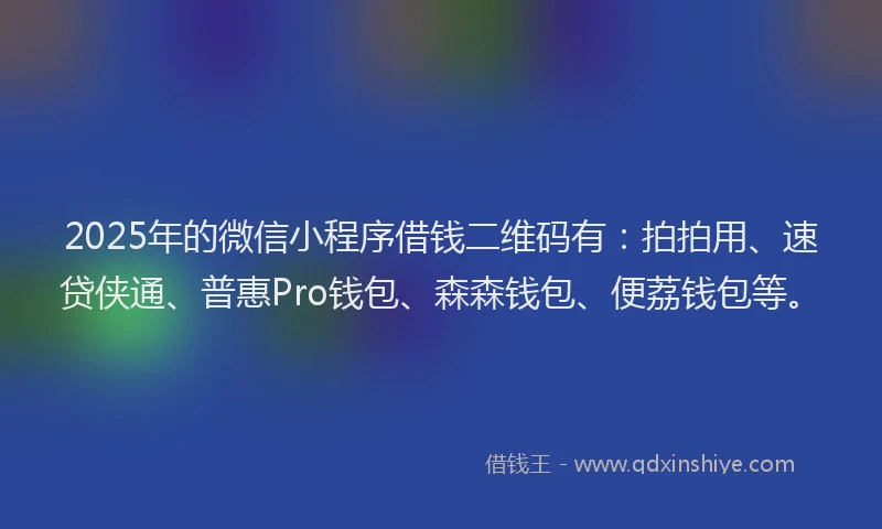 2025年的微信小程序借钱二维码有：拍拍用、速贷侠通、普惠Pro钱包、森森钱包、便荔钱包等。