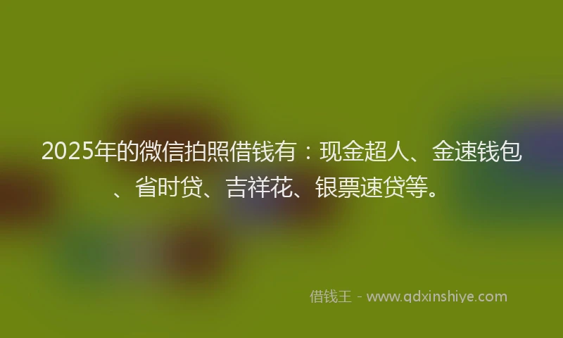 2025年的微信拍照借钱有：现金超人、金速钱包、省时贷、吉祥花、银票速贷等。