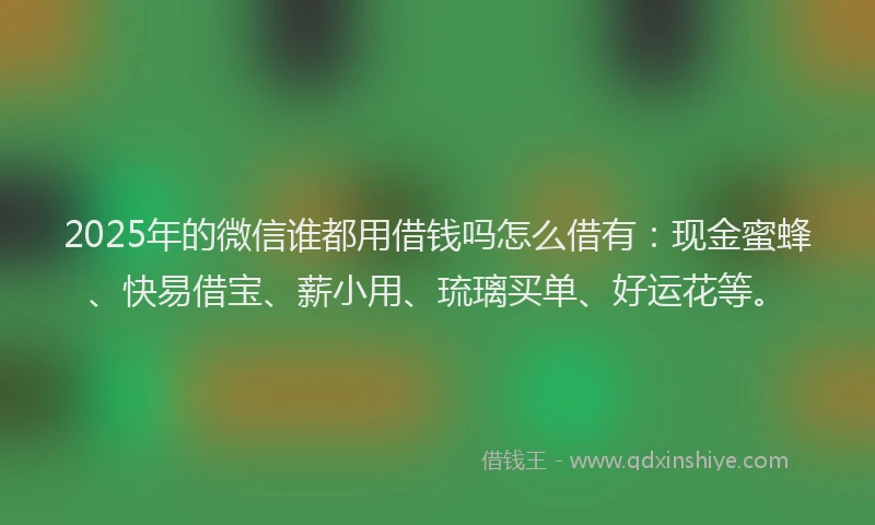 2025年的微信谁都用借钱吗怎么借有：现金蜜蜂、快易借宝、薪小用、琉璃买单、好运花等。