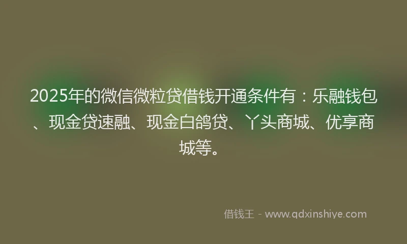 2025年的微信微粒贷借钱开通条件有：乐融钱包、现金贷速融、现金白鸽贷、丫头商城、优享商城等。
