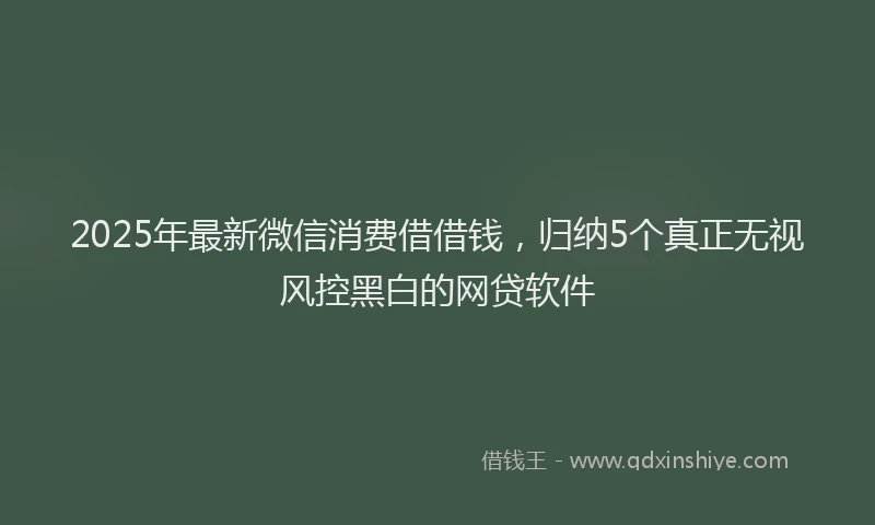 2025年最新微信消费借借钱，归纳5个真正无视风控黑白的网贷软件
