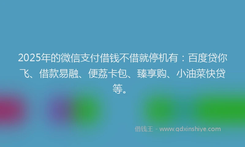 2025年的微信支付借钱不借就停机有：百度贷你飞、借款易融、便荔卡包、臻享购、小油菜快贷等。