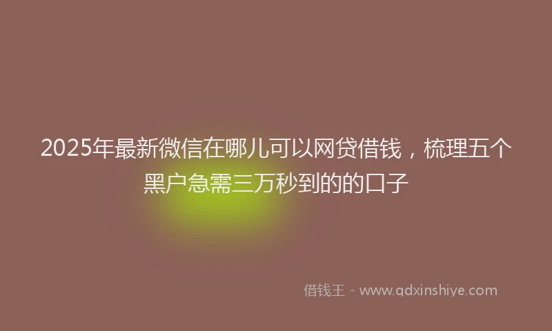 2025年最新微信在哪儿可以网贷借钱，梳理五个黑户急需三万秒到的的口子