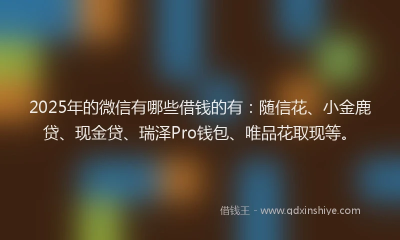 2025年的微信有哪些借钱的有：随信花、小金鹿贷、现金贷、瑞泽Pro钱包、唯品花取现等。