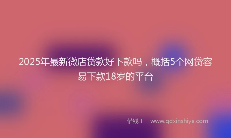 2025年最新微店贷款好下款吗，概括5个网贷容易下款18岁的平台