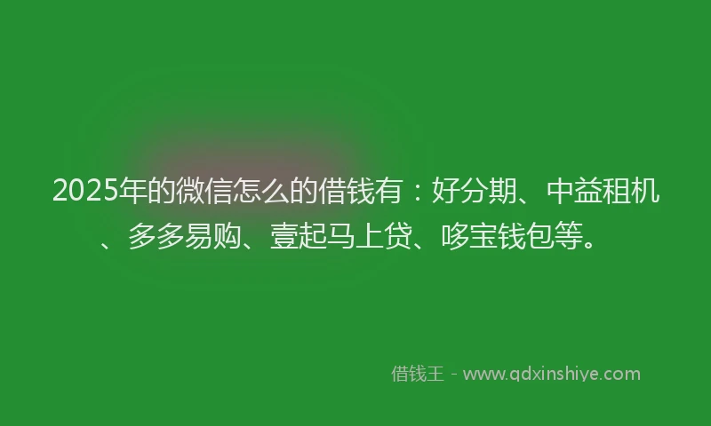 2025年的微信怎么的借钱有：好分期、中益租机、多多易购、壹起马上贷、哆宝钱包等。