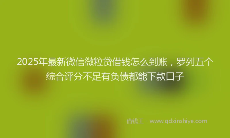 2025年最新微信微粒贷借钱怎么到账，罗列五个综合评分不足有负债都能下款口子