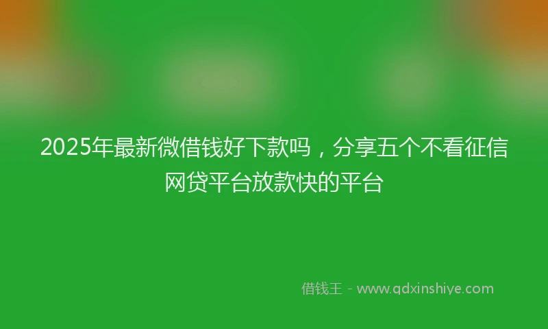 2025年最新微借钱好下款吗，分享五个不看征信网贷平台放款快的平台