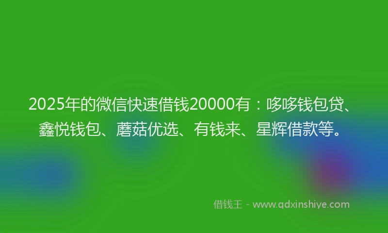 2025年的微信快速借钱20000有：哆哆钱包贷、鑫悦钱包、蘑菇优选、有钱来、星辉借款等。