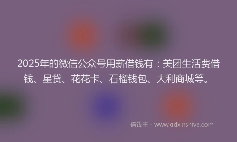 2025年的微信公众号用薪借钱有：美团生活费借钱、星贷、花花卡、石榴钱包、大利商城等。
