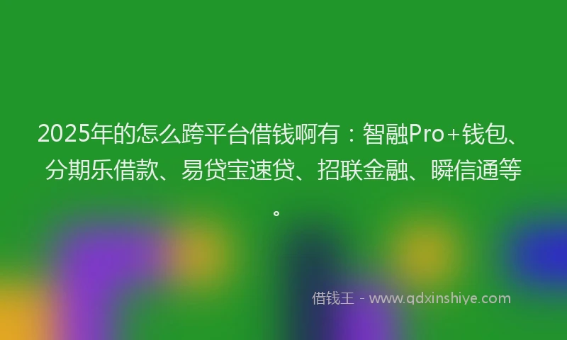 2025年的怎么跨平台借钱啊有：智融Pro+钱包、分期乐借款、易贷宝速贷、招联金融、瞬信通等。