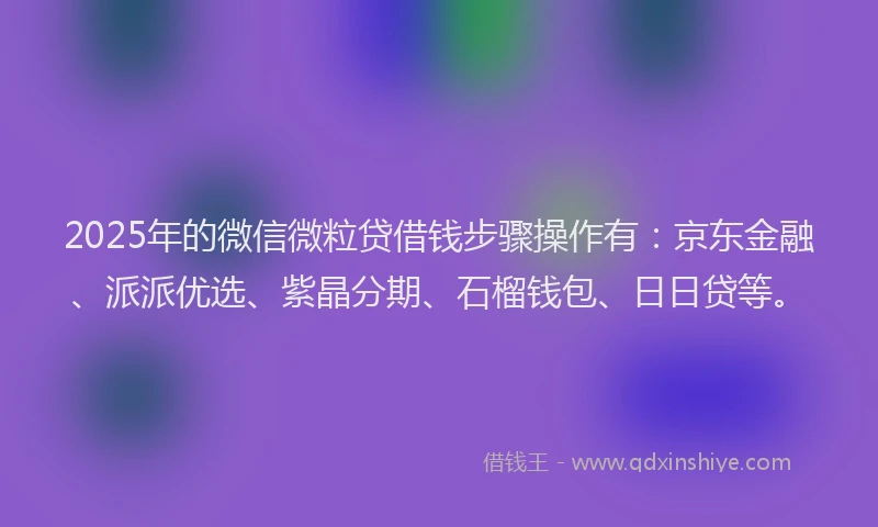 2025年的微信微粒贷借钱步骤操作有：京东金融、派派优选、紫晶分期、石榴钱包、日日贷等。
