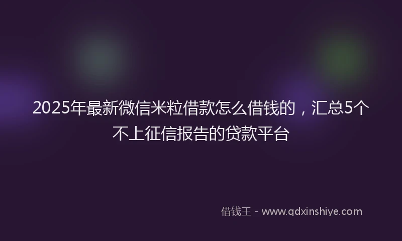 2025年最新微信米粒借款怎么借钱的，汇总5个不上征信报告的贷款平台