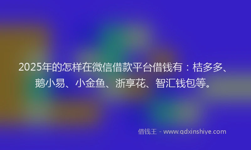 2025年的怎样在微信借款平台借钱有：桔多多、鹅小易、小金鱼、浙享花、智汇钱包等。