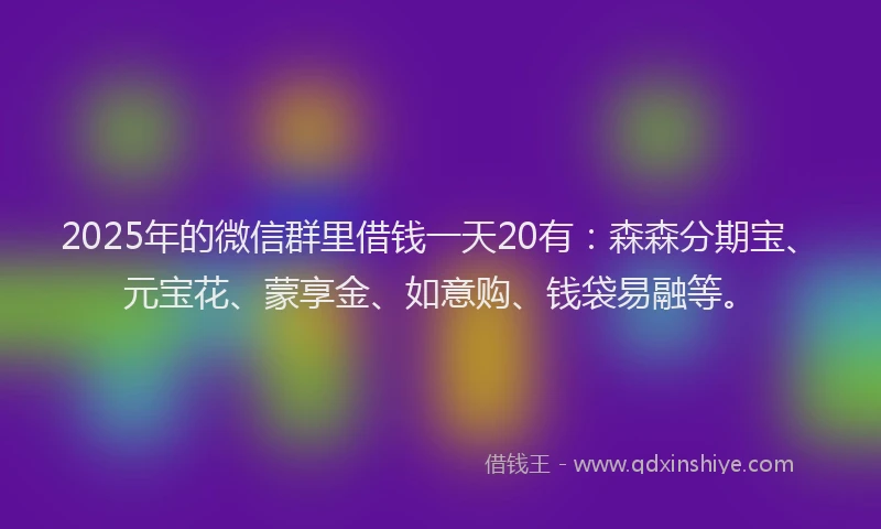 2025年的微信群里借钱一天20有：森森分期宝、元宝花、蒙享金、如意购、钱袋易融等。