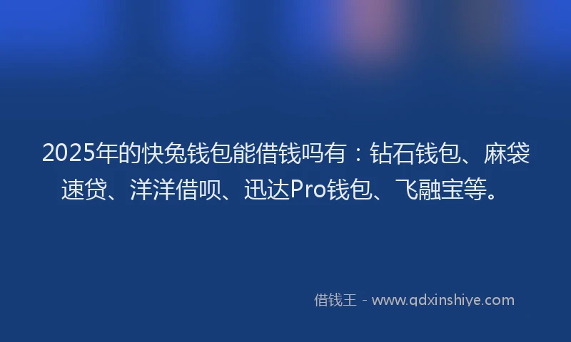 2025年的快兔钱包能借钱吗有：钻石钱包、麻袋速贷、洋洋借呗、迅达Pro钱包、飞融宝等。