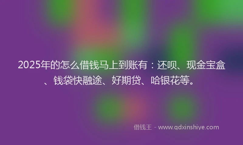 2025年的怎么借钱马上到账有：还呗、现金宝盒、钱袋快融途、好期贷、哈银花等。