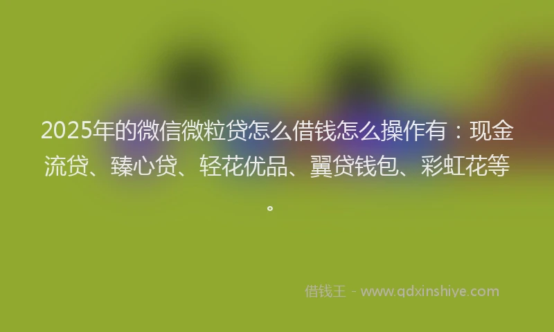 2025年的微信微粒贷怎么借钱怎么操作有：现金流贷、臻心贷、轻花优品、翼贷钱包、彩虹花等。