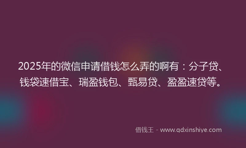 2025年的微信申请借钱怎么弄的啊有：分子贷、钱袋速借宝、瑞盈钱包、甄易贷、盈盈速贷等。