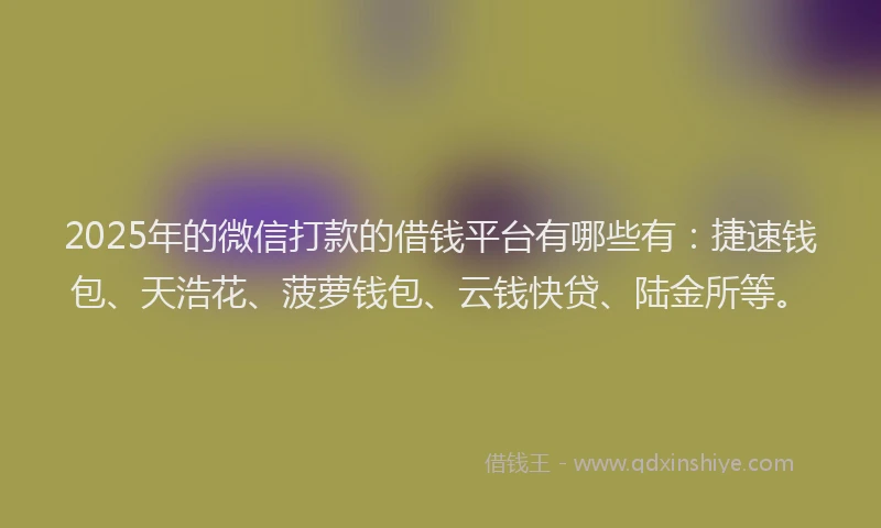 2025年的微信打款的借钱平台有哪些有：捷速钱包、天浩花、菠萝钱包、云钱快贷、陆金所等。