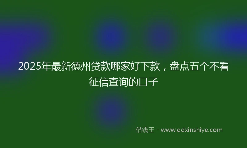 2025年最新德州贷款哪家好下款，盘点五个不看征信查询的口子
