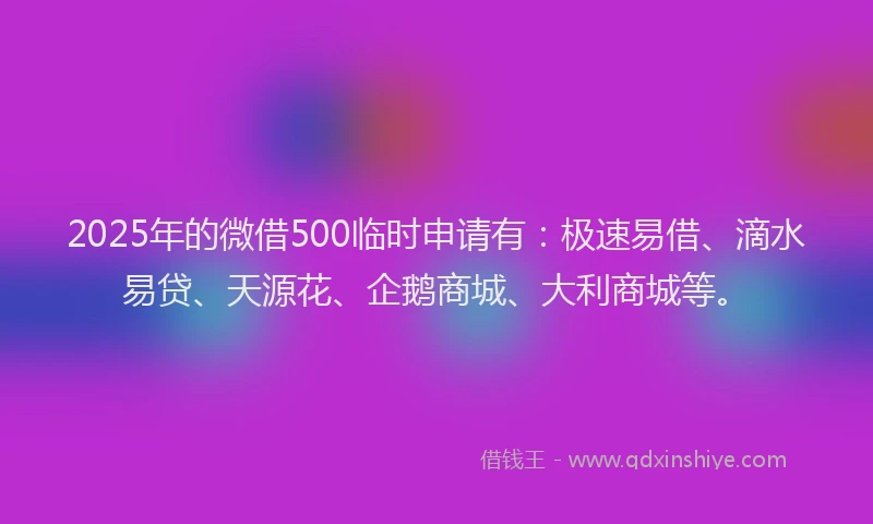 2025年的微借500临时申请有：极速易借、滴水易贷、天源花、企鹅商城、大利商城等。
