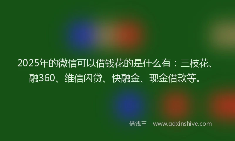 2025年的微信可以借钱花的是什么有：三枝花、融360、维信闪贷、快融金、现金借款等。