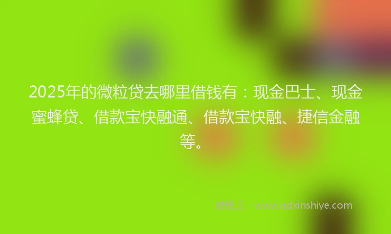2025年的微粒贷去哪里借钱有：现金巴士、现金蜜蜂贷、借款宝快融通、借款宝快融、捷信金融等。