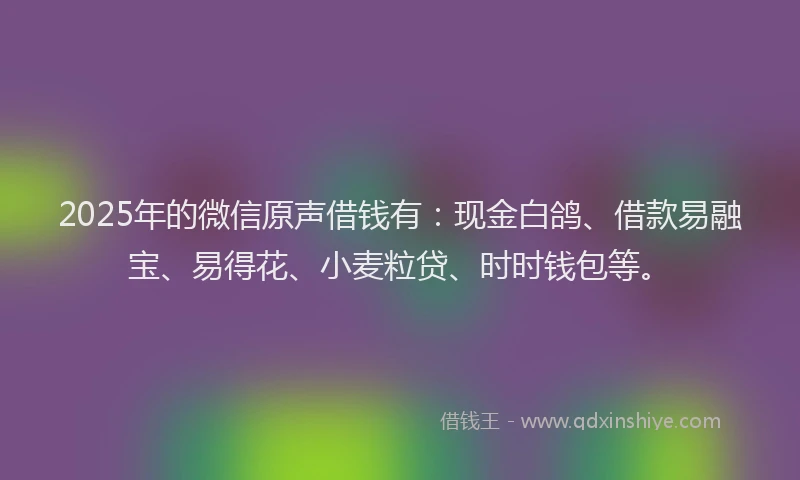 2025年的微信原声借钱有：现金白鸽、借款易融宝、易得花、小麦粒贷、时时钱包等。