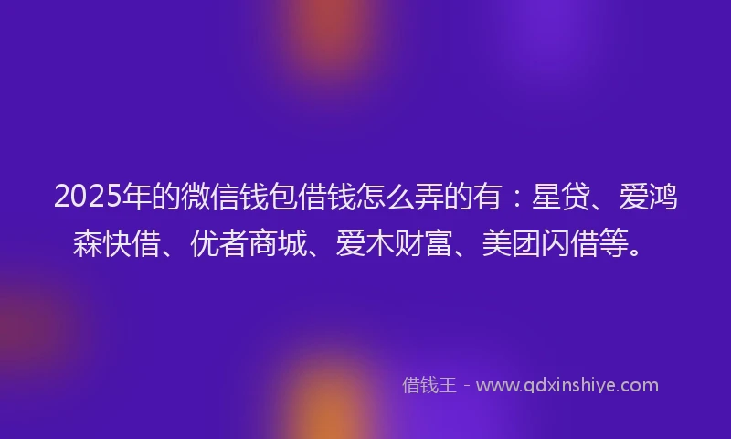 2025年的微信钱包借钱怎么弄的有：星贷、爱鸿森快借、优者商城、爱木财富、美团闪借等。