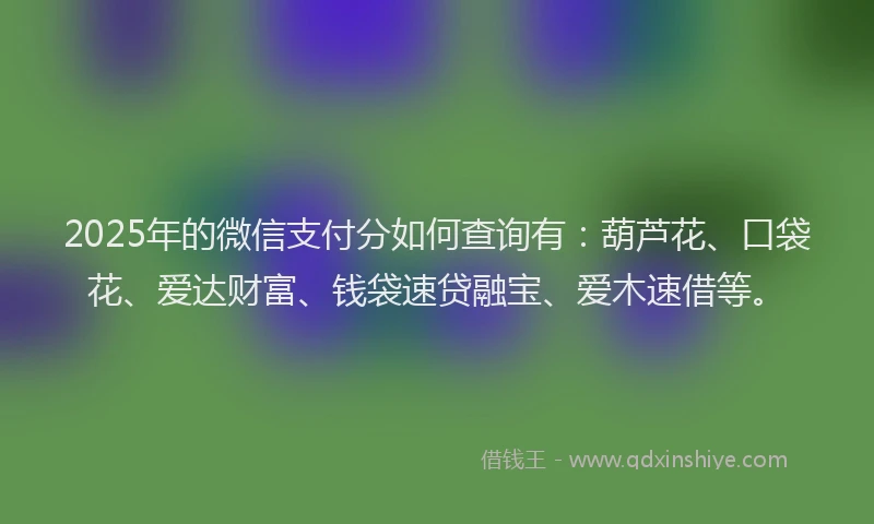 2025年的微信支付分如何查询有：葫芦花、口袋花、爱达财富、钱袋速贷融宝、爱木速借等。