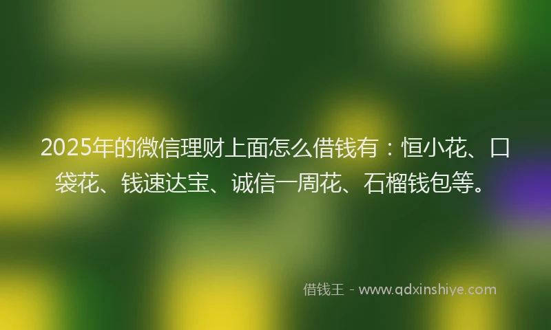 2025年的微信理财上面怎么借钱有：恒小花、口袋花、钱速达宝、诚信一周花、石榴钱包等。