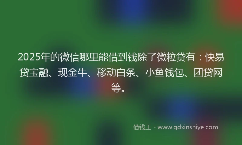 2025年的微信哪里能借到钱除了微粒贷有：快易贷宝融、现金牛、移动白条、小鱼钱包、团贷网等。